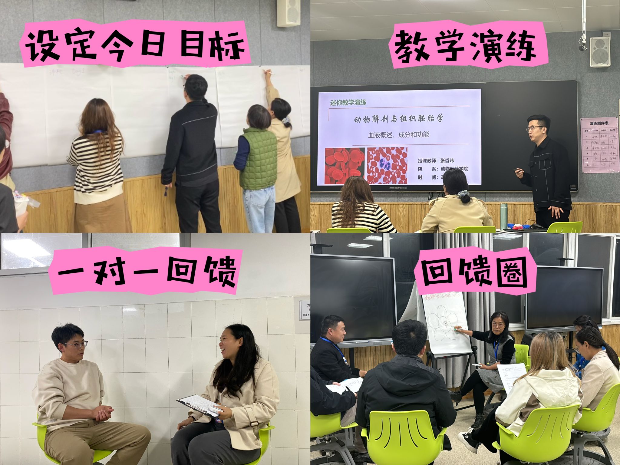 m88在线网站入口