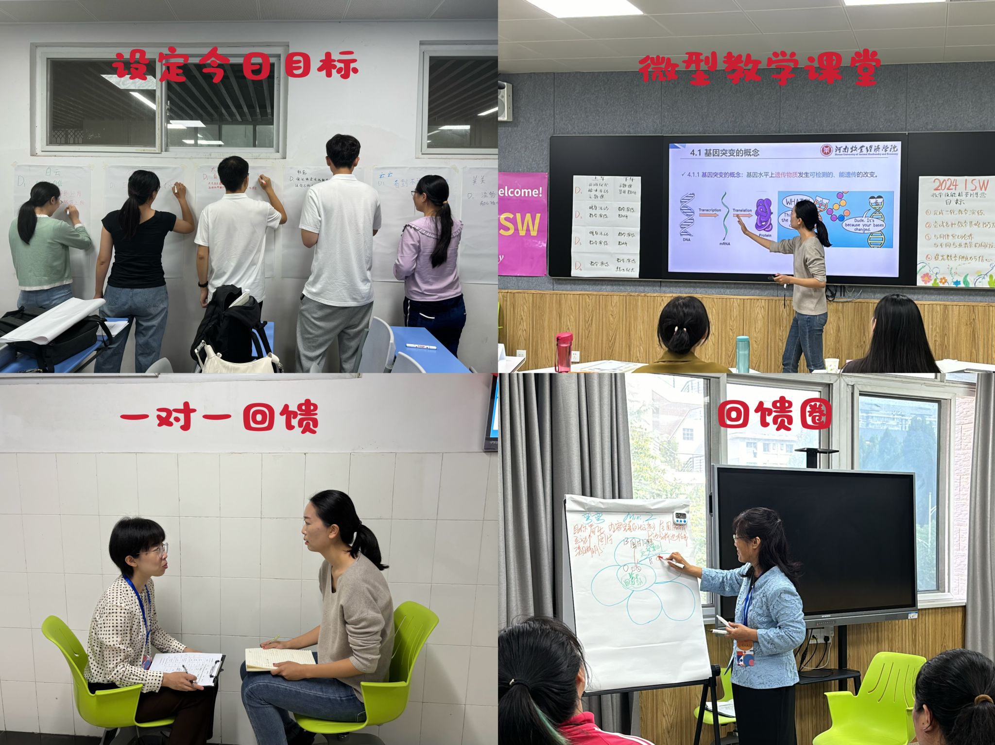 m88在线网站入口